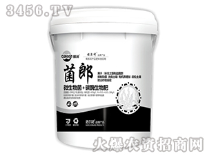 ΢�����+̼ø�����-����-�Z����