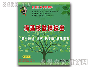 ��������\�F��-�R���-ϲ�S��