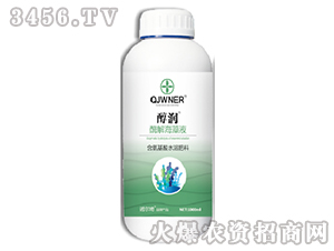 ø�⺣��Һ-����-�Z����