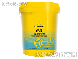 ����������-����-�Z����