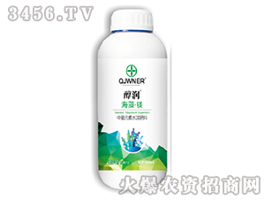 ���塤�V-����-�Z����