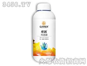 ��Ч��-����-�Z����