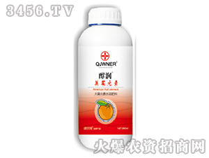 ����Ԫ��-����-�Z����