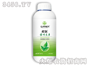 �G�~Ԫ��-����-�Z����