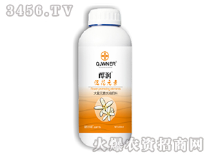 �ٻ�Ԫ��-����-�Z����