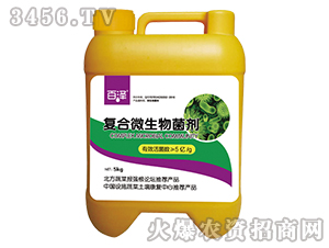 ��(f��)��΢�������-�ٝ�-������