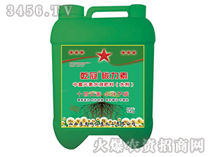 ̼����-Ǭ��-�t�ǻ���