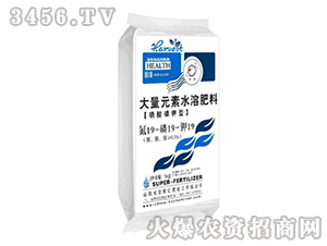 ���������ˮ�ܷ�19-19-19-�t�ǻ���