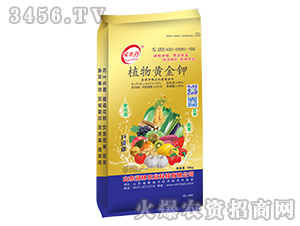 �S����⛛_ʩ��-ֲ���S���-�����r(n��ng)�I(y��)