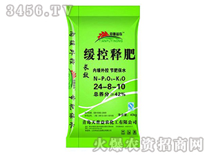 �����24-8-10-������