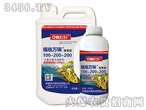 ���R�f��100-200-200-������-�W��ɭ