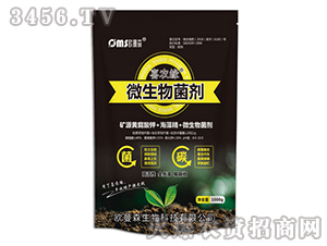 ΢�������-ϲ�r(n��ng)��-�W��ɭ