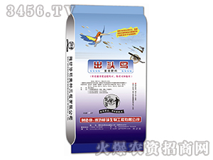 ��(f��)�����-���^�B-����