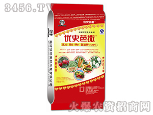 ������͏�(f��)�����-��(y��u)ʷ����-����