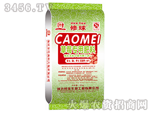 ��ݮ���÷���-����