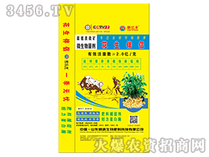 ������H-�|�S-���S����