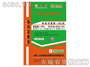 ΢���������40kg��-�|�S-���S����