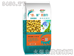 ΢�������-�������塱�p����-���S����