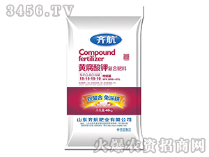 40kg�S����⛏�(f��)�Ϸ���15-15-15-10-�R��