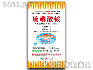 �������@16-18-19-�|�S