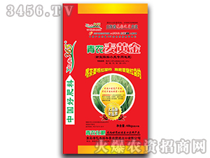 ���r(n��ng)���S��-�|�S