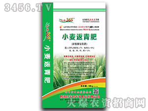 �|�S365С�����-�|�S