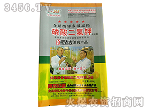 ��������-�|�S