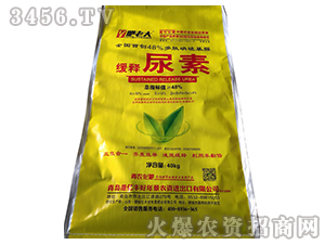 �������-���ϴ�-�|�S