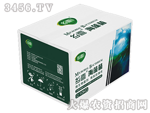 �����-�l(xi��ng)ϲ-һ��