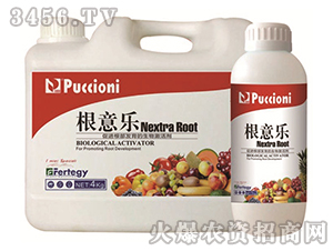 ���Ｄ�-���☷-����ؐ��