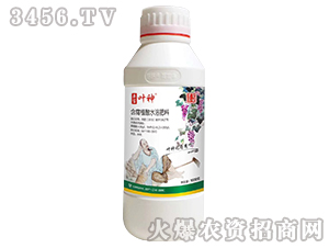 1000g����ֲ��ˮ�ܷ���-�����_��-ʥ���S