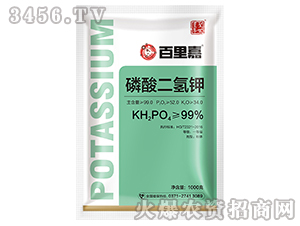 ��������-�����-ʥ���S