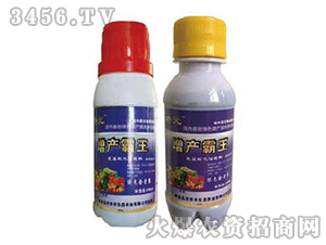 ���a(ch��n)����-�r(n��ng)�S���B(t��i)