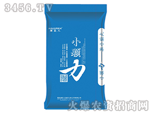 �_ʩ��-С�w��-������