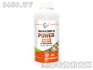 �Ǵ��}-�S�T�ʘI(y��)