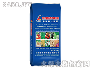 ���S�����ЙC��-�S�T�ʘI(y��)