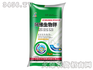 ���S�����-�S�T�ʘI(y��)