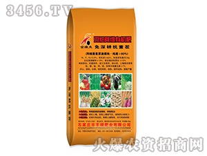 ���ɰ��S�ЙC��-��S��-�S�T�ʘI(y��)