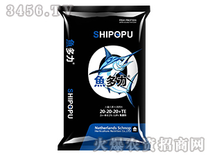 ����Ԫ��ˮ�ܷ���20-20-20+TE-�~(y��)����-�|������