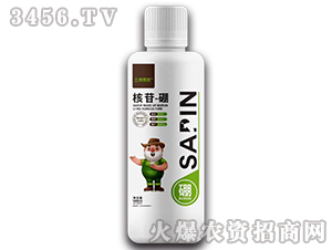 ����-��-��ţ���B(t��i)