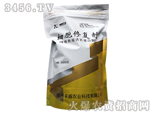 ��(x��)���ޏ�(f��)��-׿Խ�r(n��ng)�I(y��)