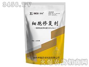 1000g�����ޏ̈́�-׿Խ�r�I(y��)