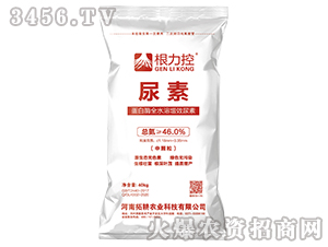 ����-������-�ظ��r�I(y��)