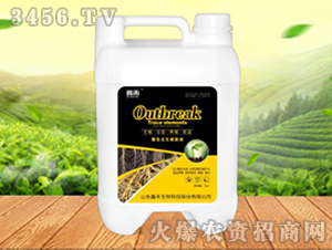 ����ԭҺ-�κ�����