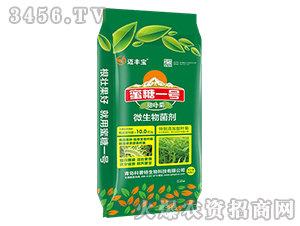 ����һ̖΢�������-�~�S��-������