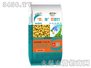 �����p����΢�������-�|�S-�|������