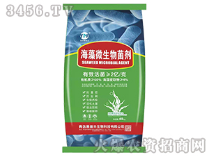 ����΢�������-�����S