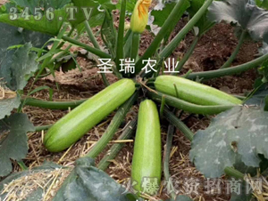 �ľG2̖(h��o)-�����J�N��-��ʥ��