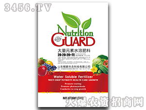 ����Ԫ��ˮ�ܷ���20-20-20+TE-�d�i