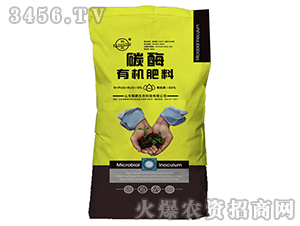 ̼ø�ЙC����-�d�i